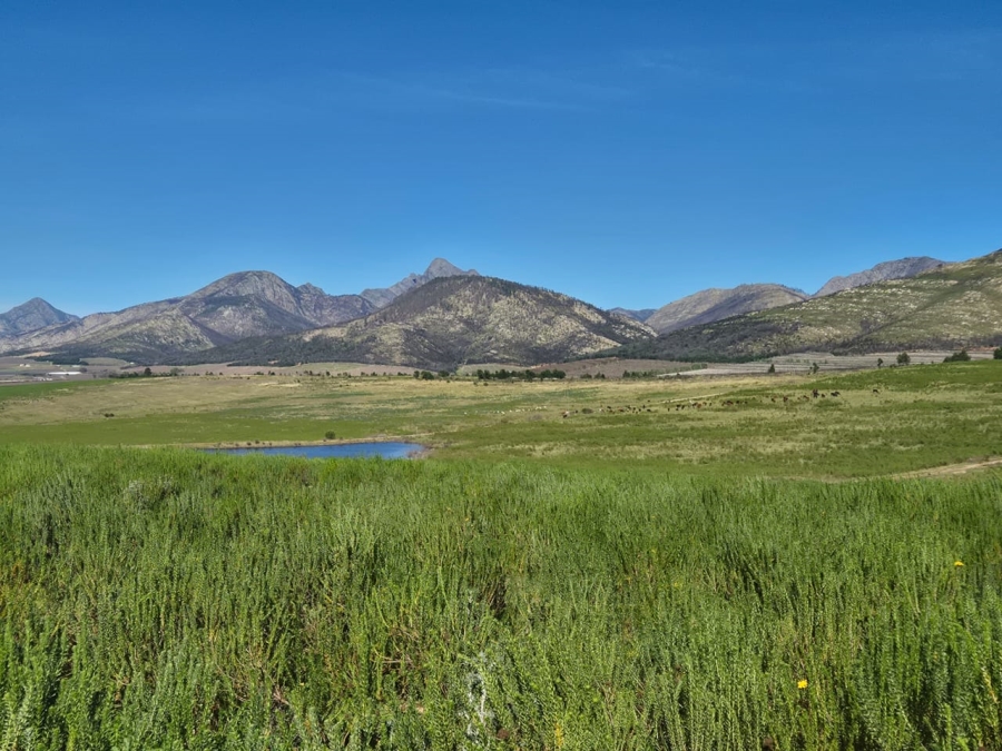 Commercial Property for Sale in Louterwater Eastern Cape